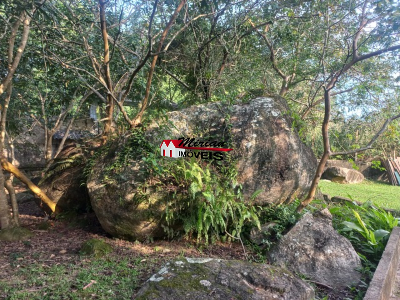 Fazenda à venda com 3 quartos, 350m² - Foto 34