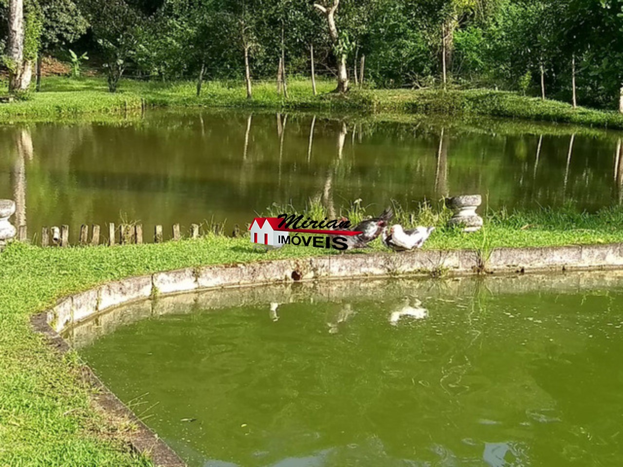 Fazenda à venda com 3 quartos, 400m² - Foto 34