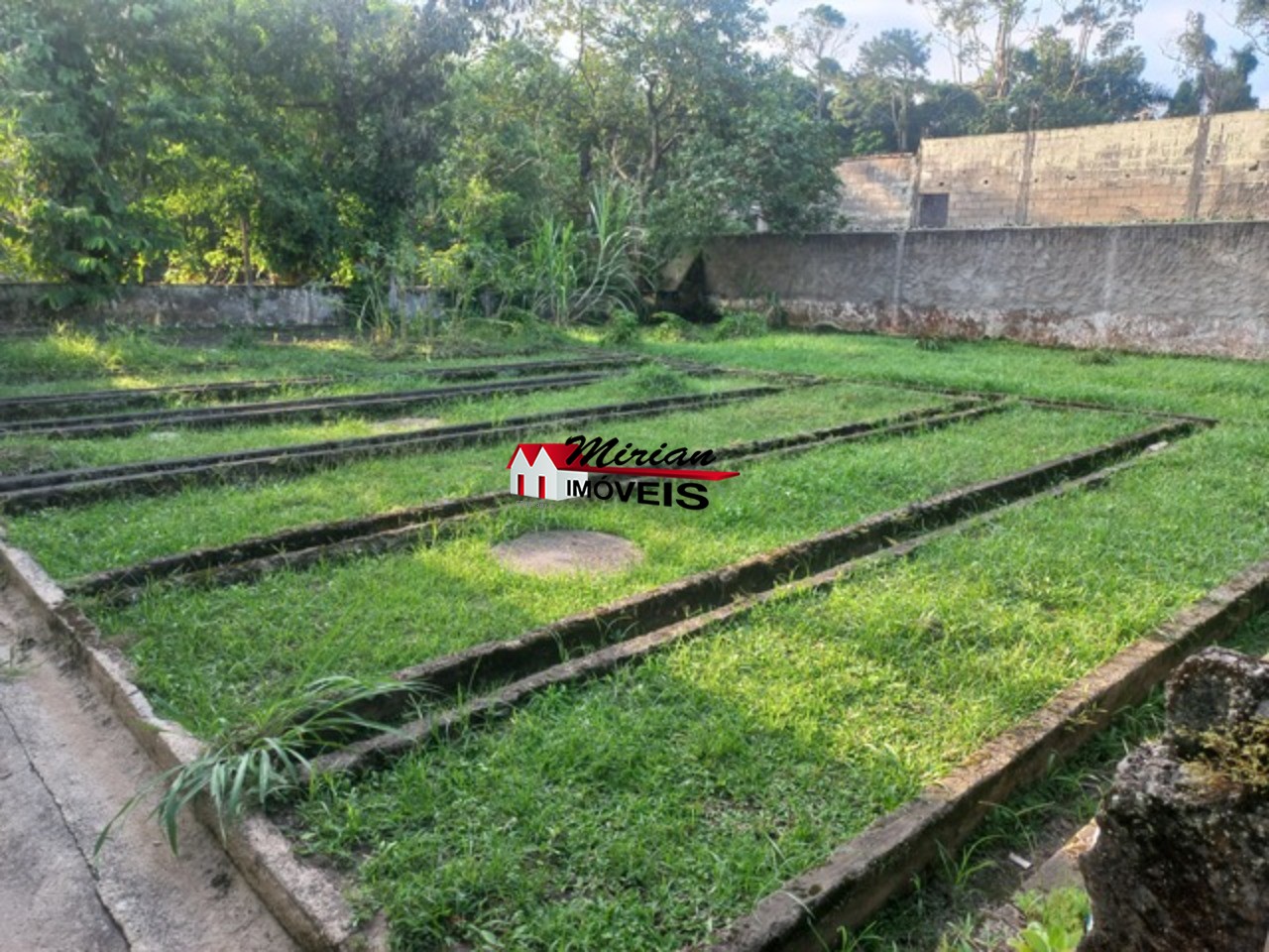 Fazenda à venda com 3 quartos, 350m² - Foto 56