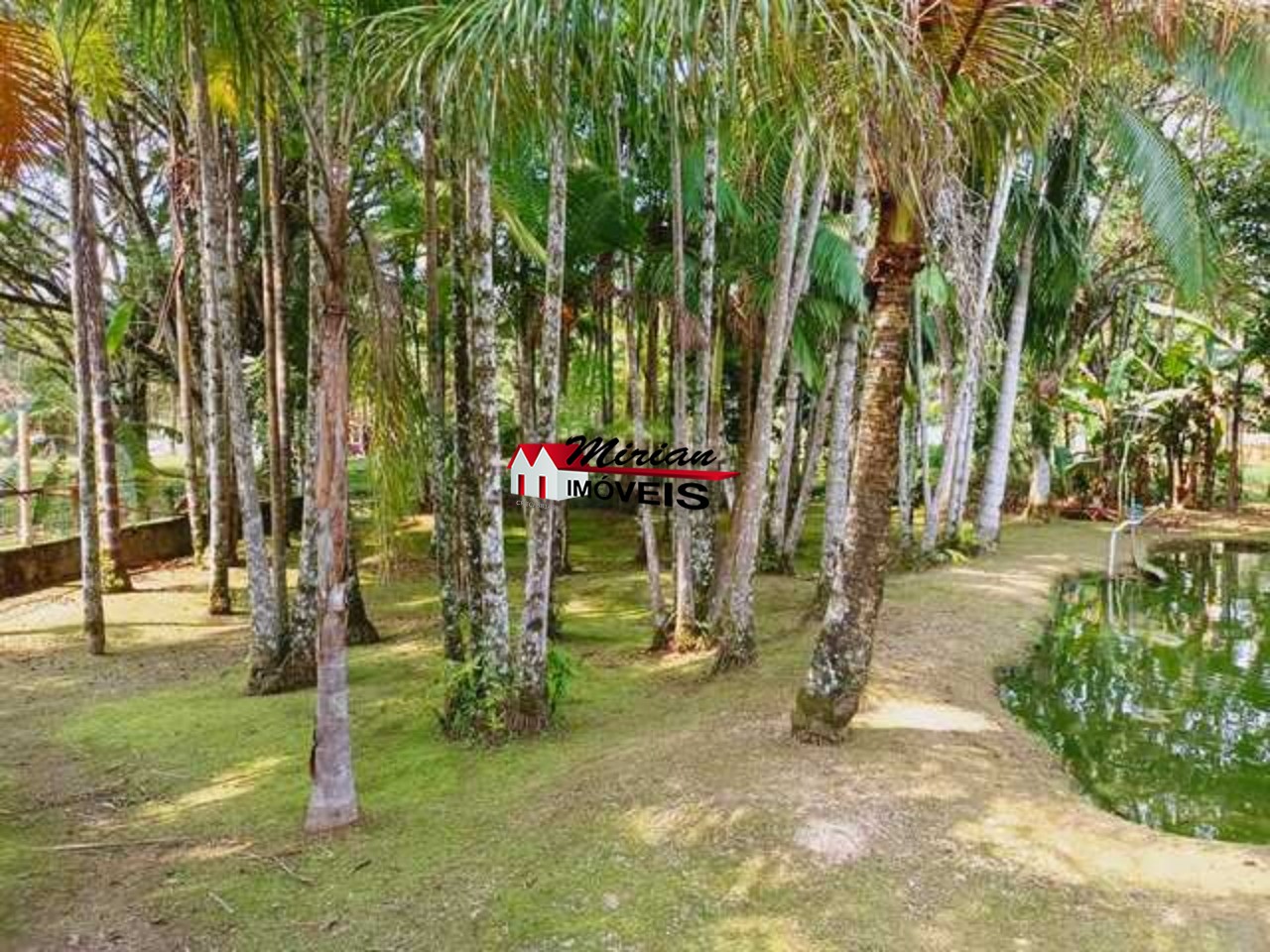 Fazenda à venda com 3 quartos, 300m² - Foto 54