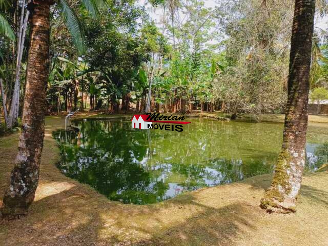 Fazenda à venda com 3 quartos, 300m² - Foto 58