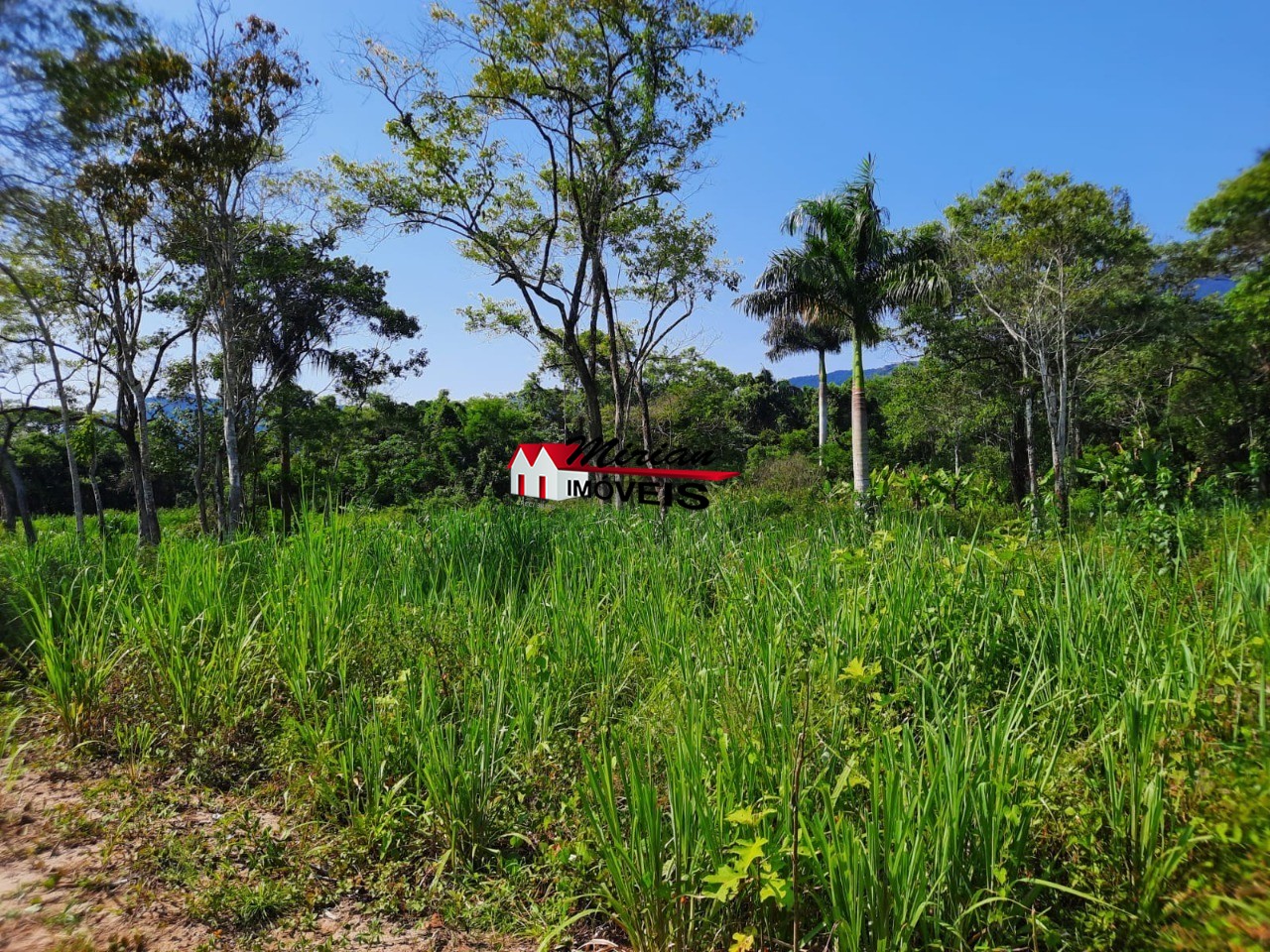 Terreno à venda, 6800m² - Foto 5