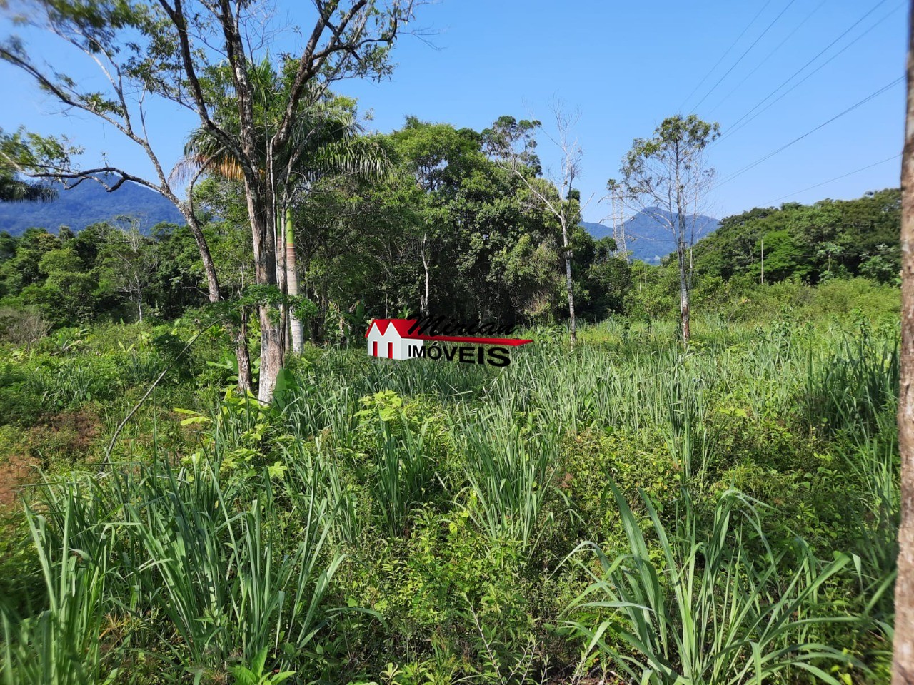 Terreno à venda, 6800m² - Foto 2