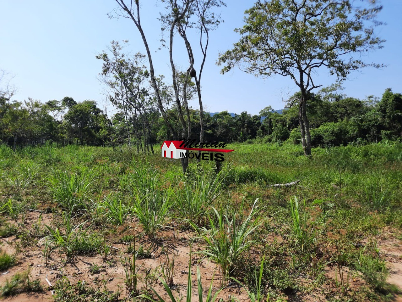 Terreno à venda, 6800m² - Foto 3