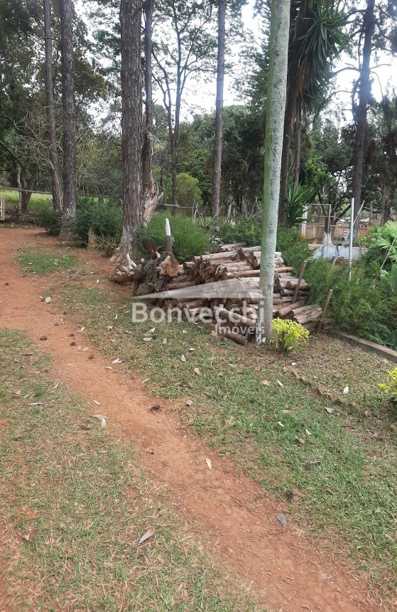 Fazenda à venda com 3 quartos, 7000m² - Foto 3