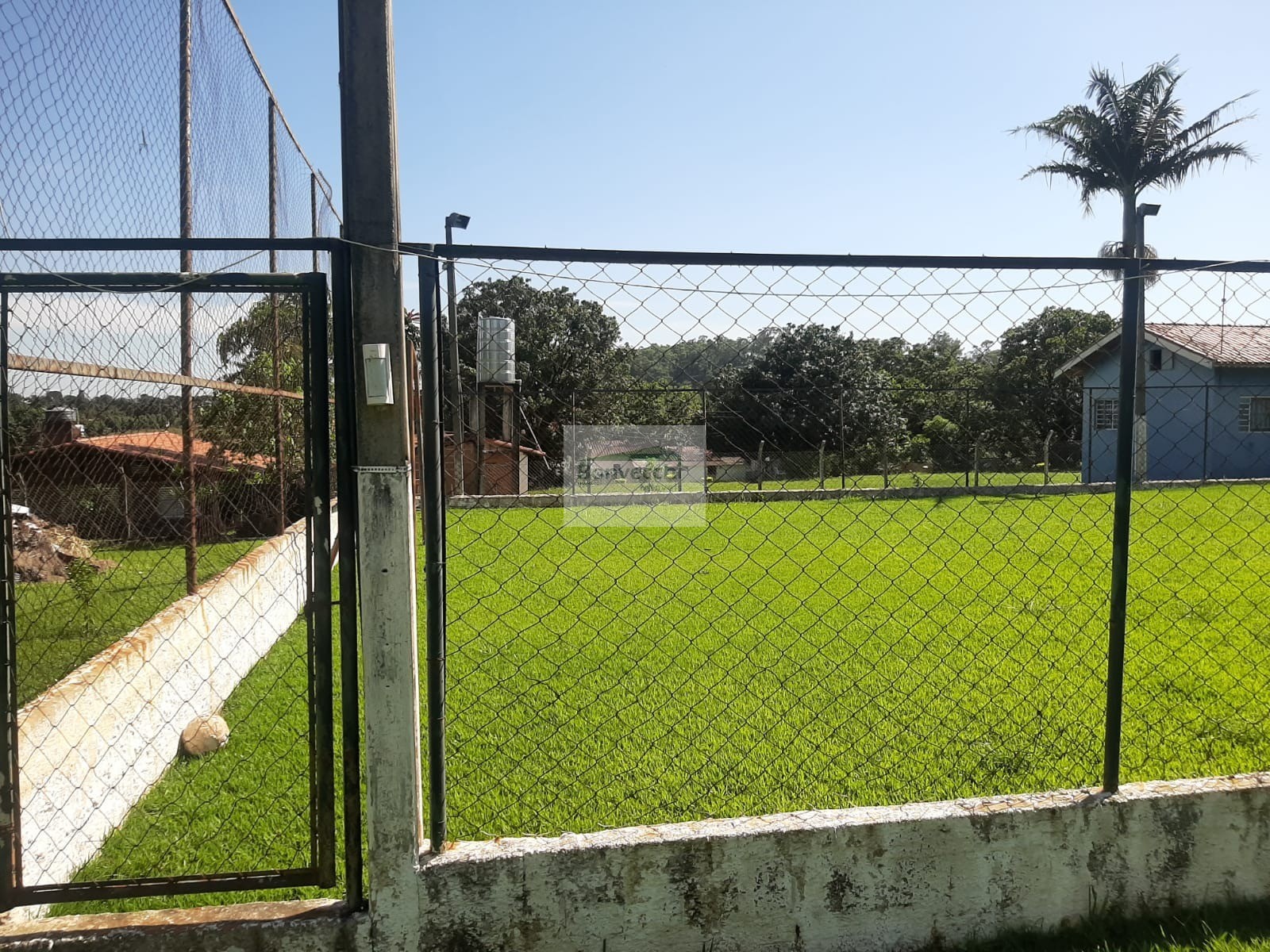 Fazenda à venda com 3 quartos, 5000m² - Foto 6