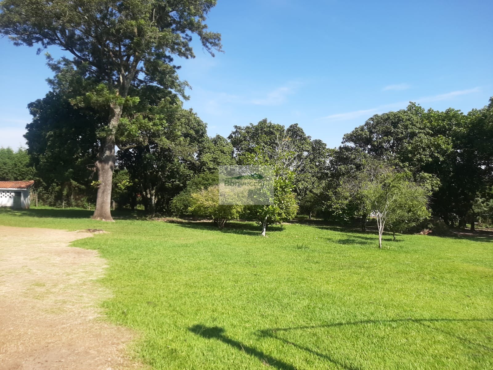 Fazenda à venda com 3 quartos, 5000m² - Foto 7