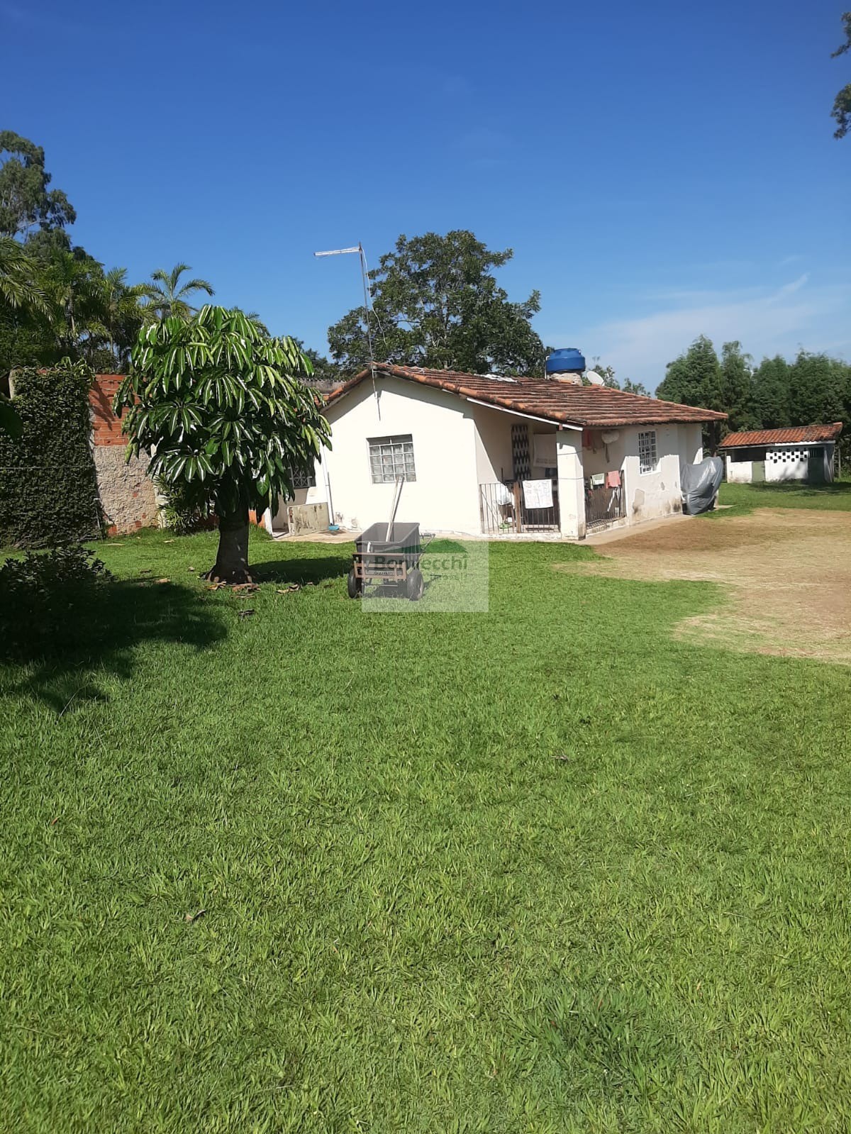 Fazenda à venda com 3 quartos, 5000m² - Foto 4