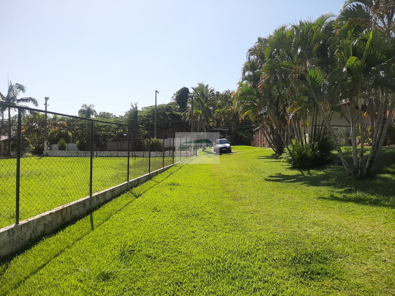 Fazenda à venda com 3 quartos, 5000m² - Foto 3