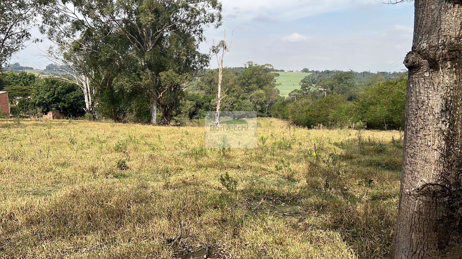 Terreno à venda - Foto 3