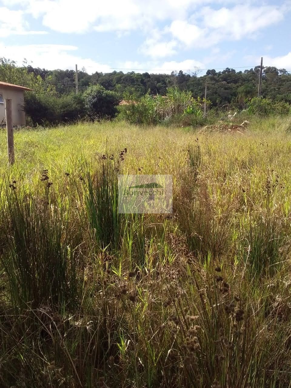 Terreno à venda, 2200m² - Foto 5