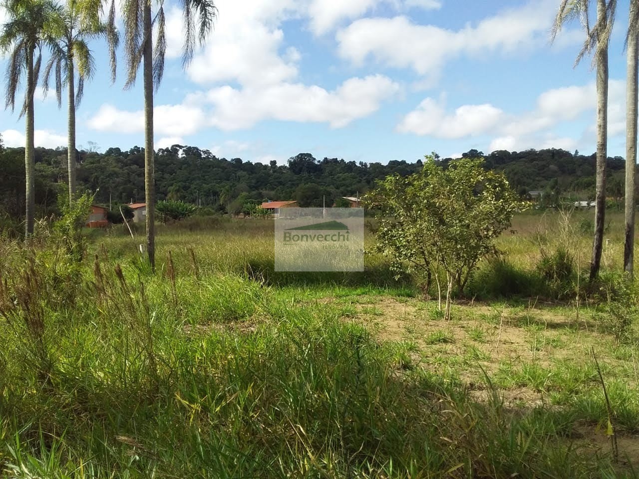 Terreno à venda, 2200m² - Foto 8