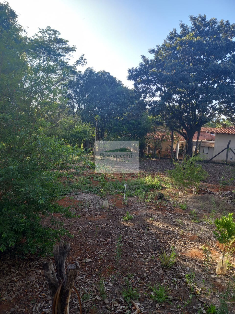 Fazenda à venda com 2 quartos, 2000m² - Foto 4