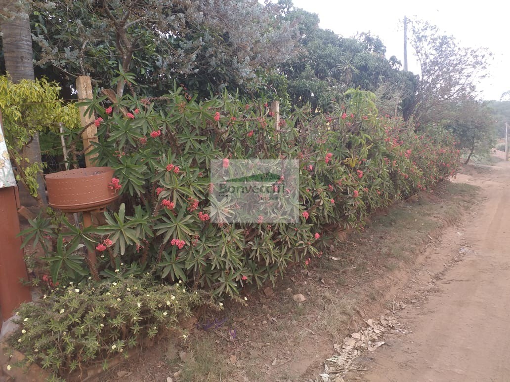 Fazenda à venda com 2 quartos, 1000m² - Foto 4