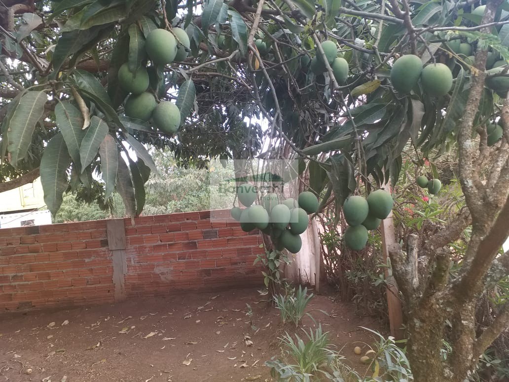 Fazenda à venda com 2 quartos, 1000m² - Foto 5