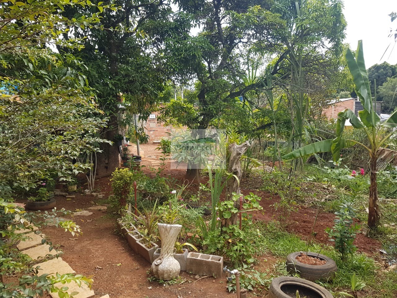 Fazenda à venda com 1 quarto, 666m² - Foto 3