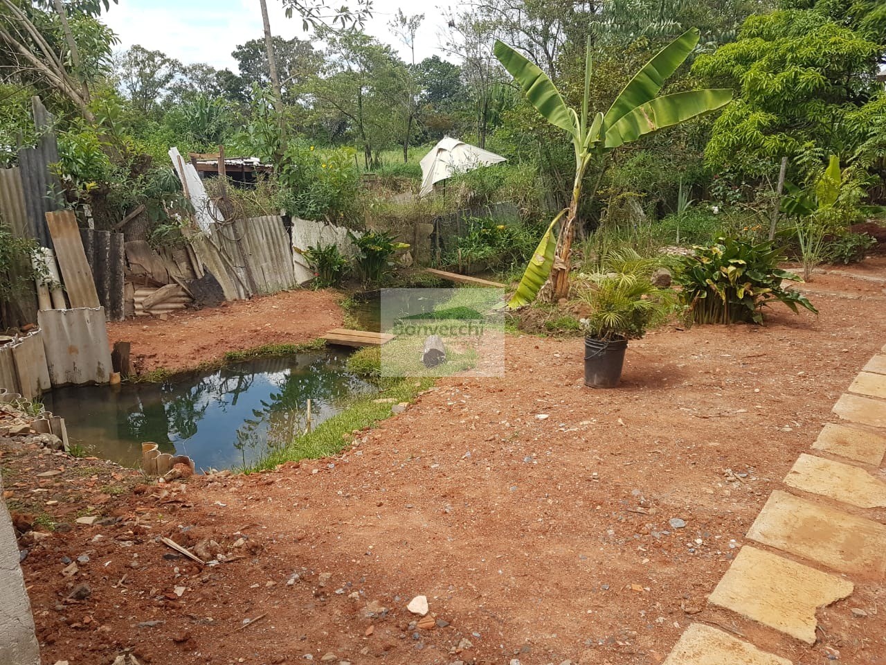 Fazenda à venda com 1 quarto, 666m² - Foto 9