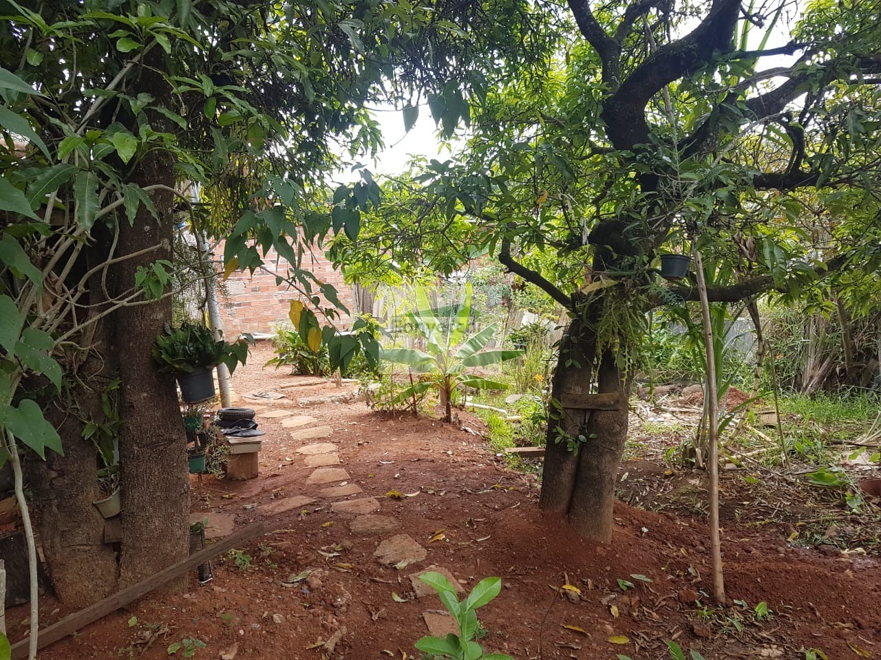 Fazenda à venda com 1 quarto, 666m² - Foto 2