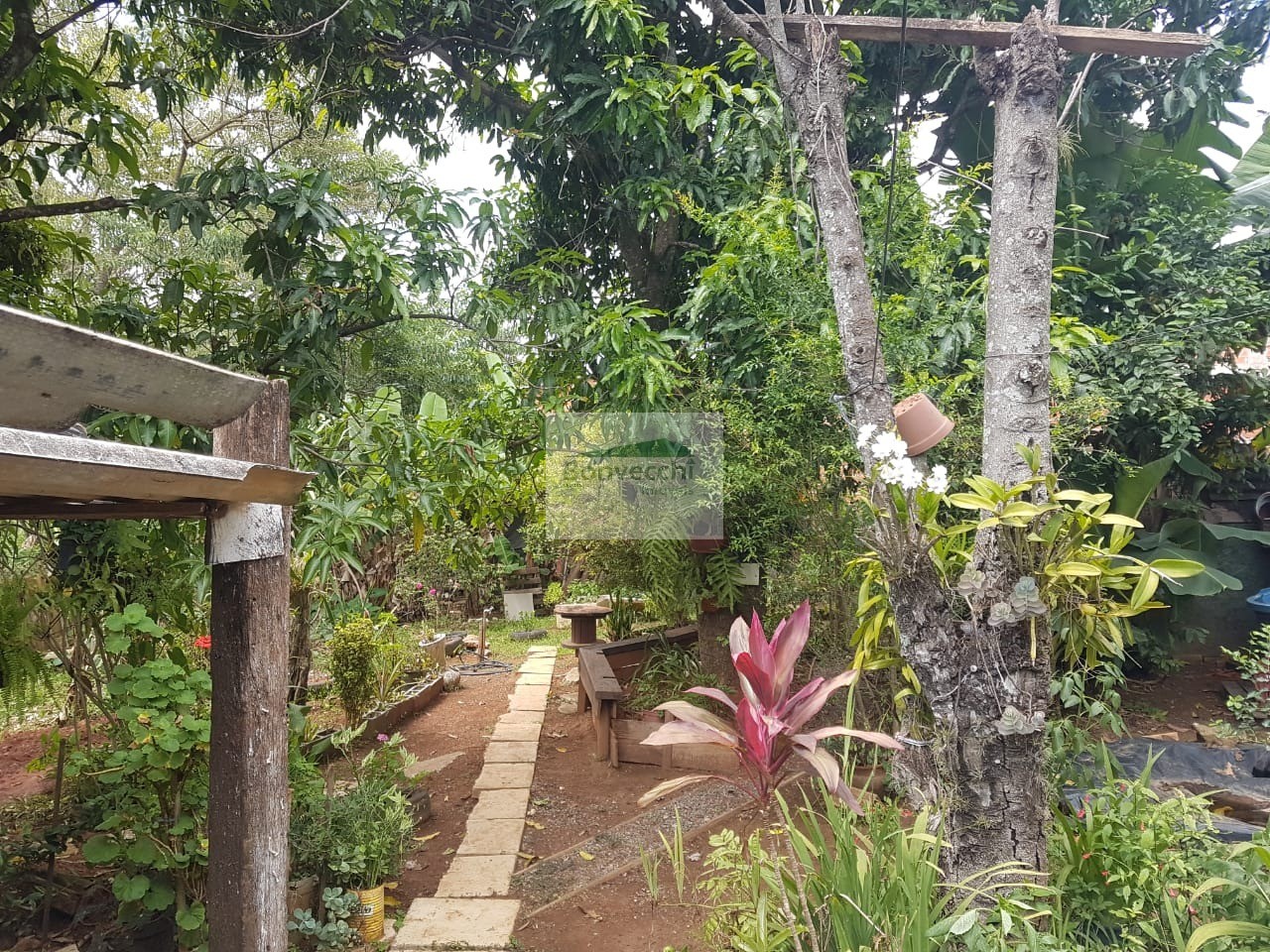 Fazenda à venda com 1 quarto, 666m² - Foto 6