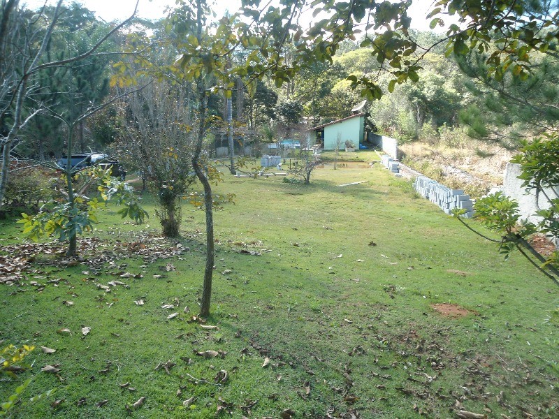 Fazenda à venda com 2 quartos, 3000m² - Foto 4