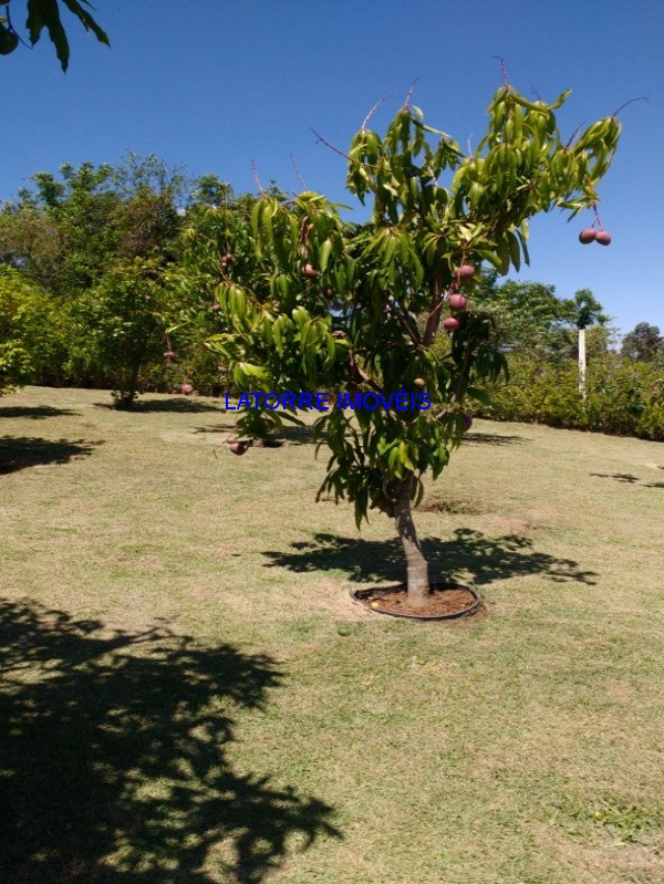 Fazenda à venda com 3 quartos, 1200m² - Foto 32