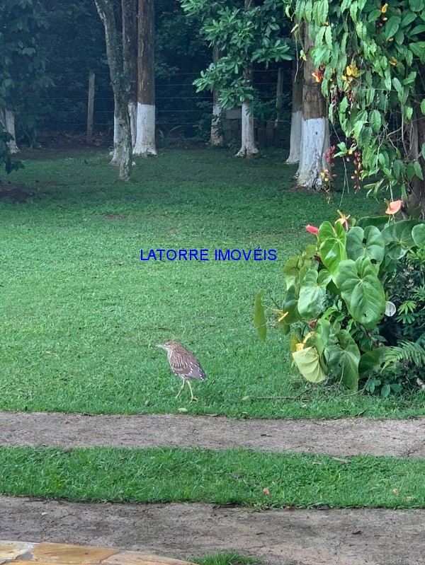 Fazenda à venda com 2 quartos, 3000m² - Foto 34