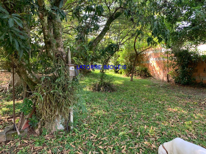 Fazenda à venda com 2 quartos, 2000m² - Foto 19