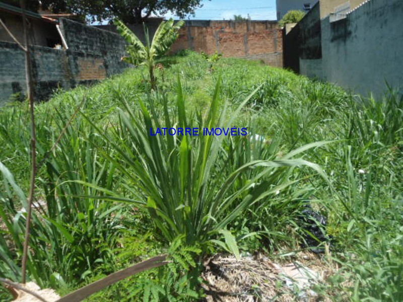 Terreno à venda, 250m² - Foto 1