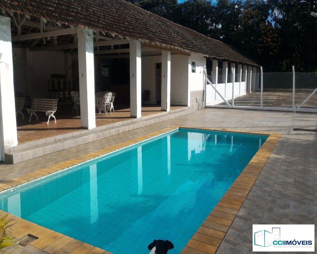 Sítio, 3 quartos, 1500 m² - Foto 7