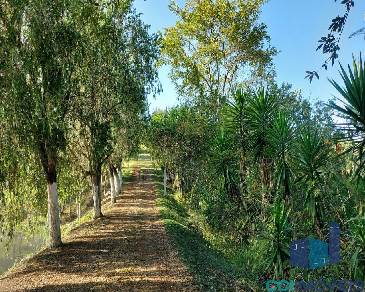 Sítio à venda com 6 quartos, 1m² - Foto 12