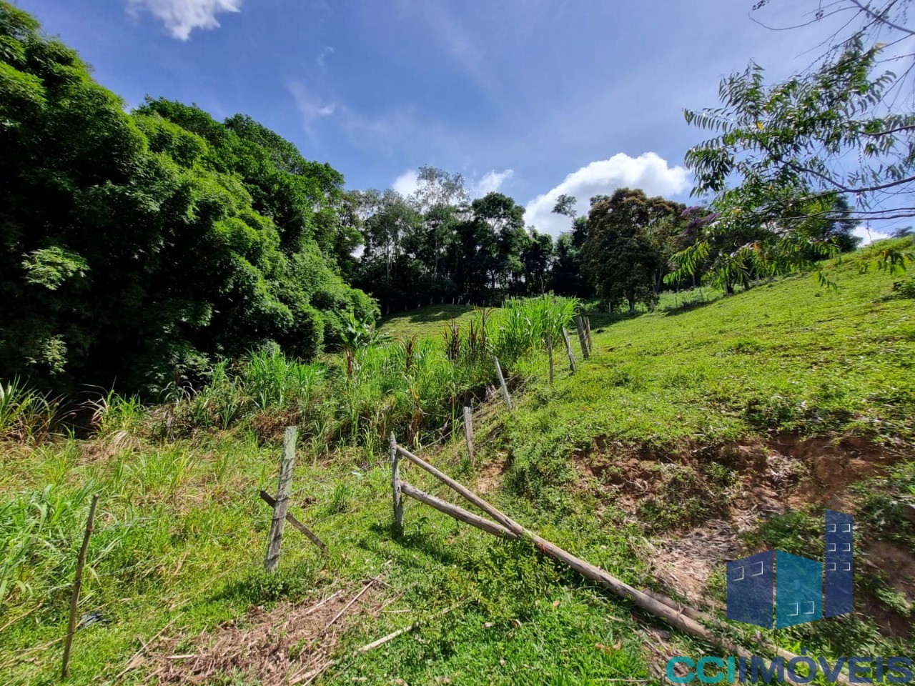 Sítio, 3 quartos, 2 hectares - Foto 4