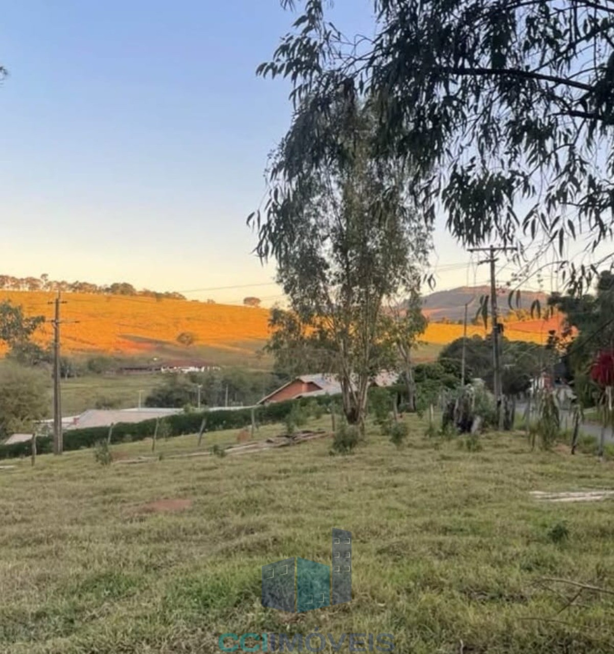 Terreno, 5200 m² - Foto 4
