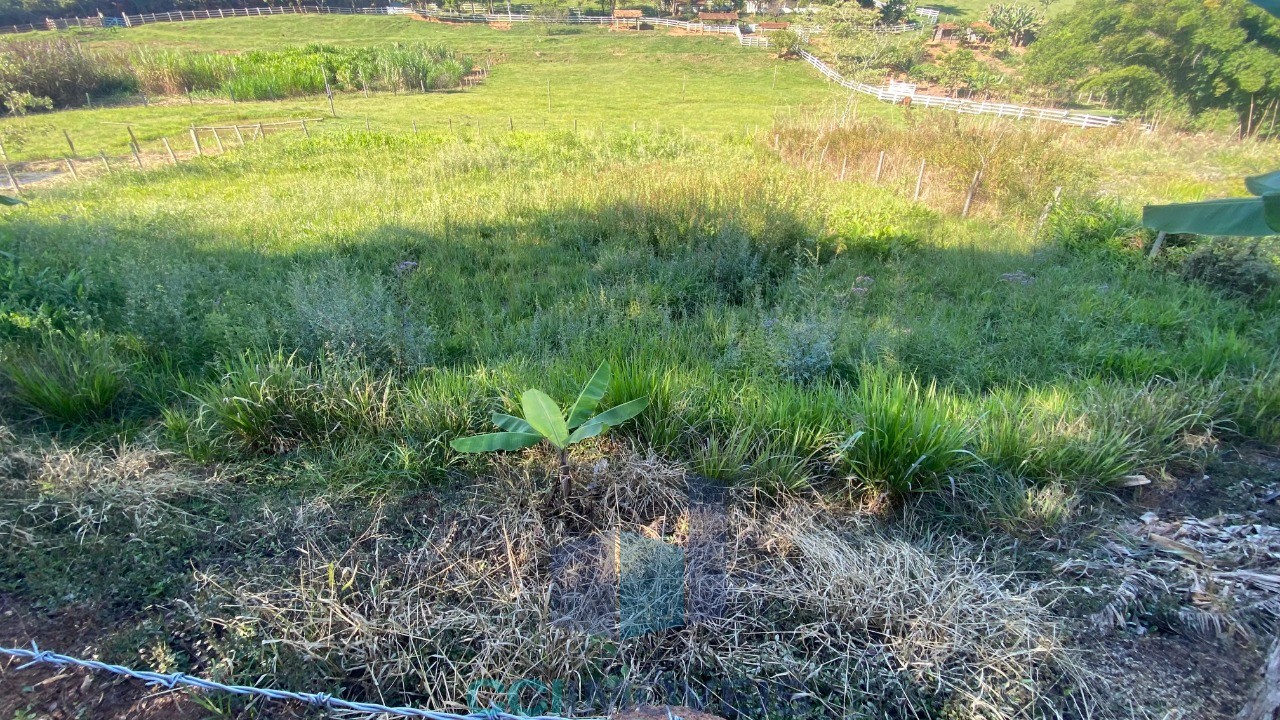Terreno, 2 hectares - Foto 3