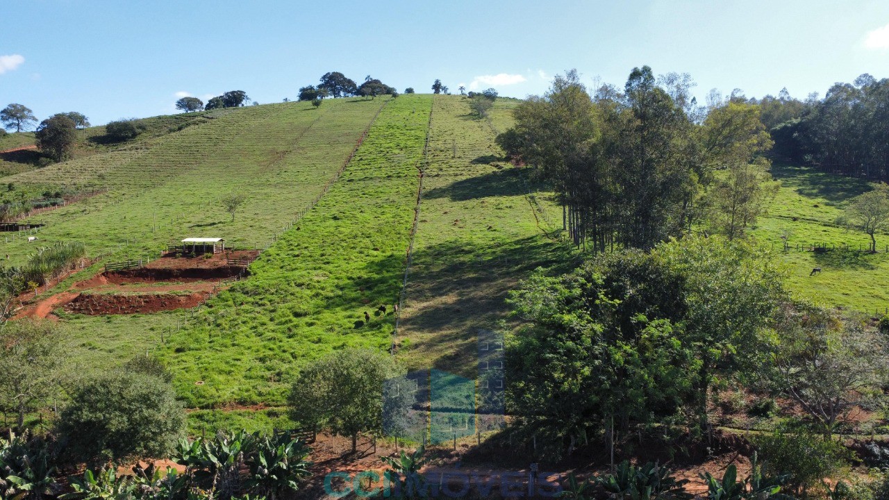 Terreno, 2 hectares - Foto 9