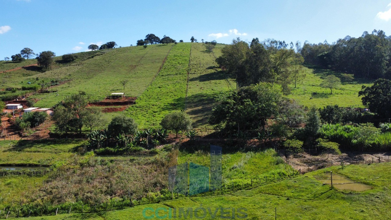 Terreno, 2 hectares - Foto 10