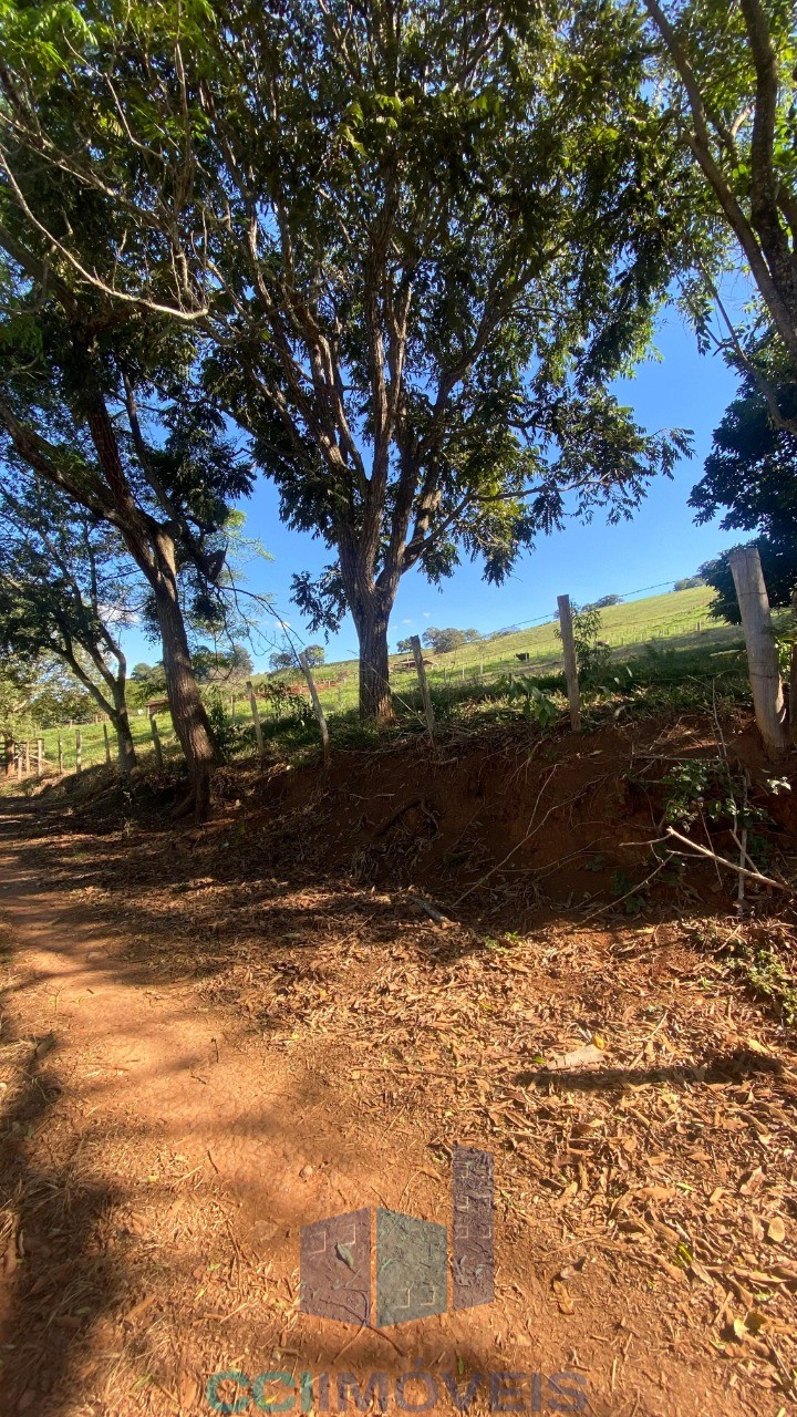 Terreno, 2 hectares - Foto 2
