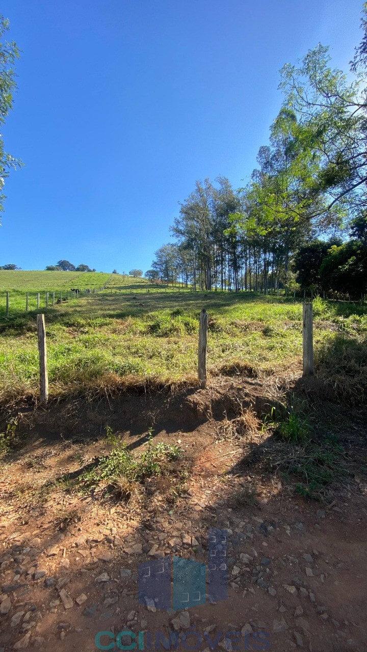 Terreno, 2 hectares - Foto 4