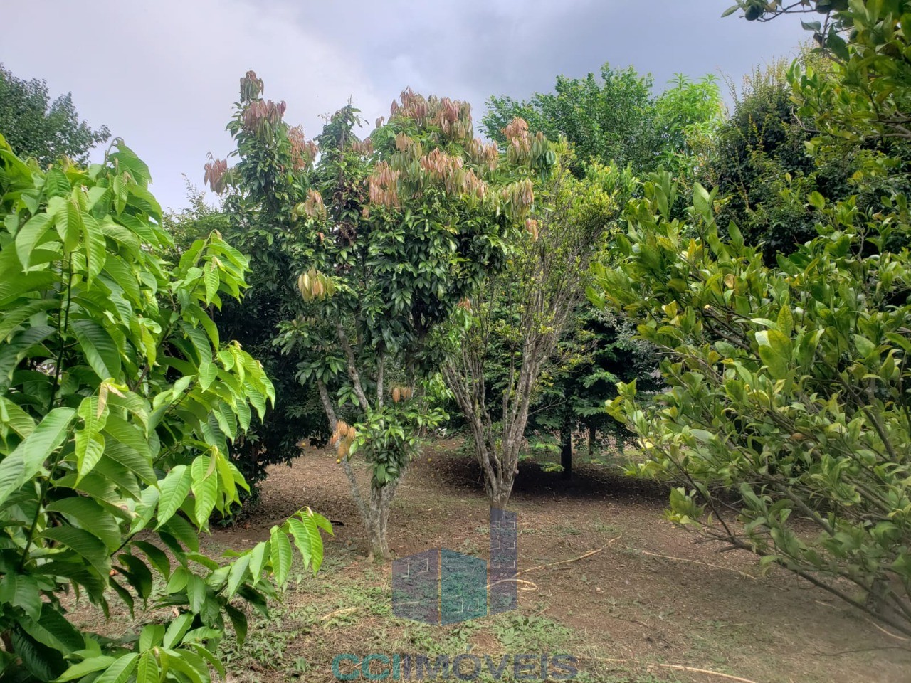 Chácara, 3 quartos, 980 m² - Foto 12