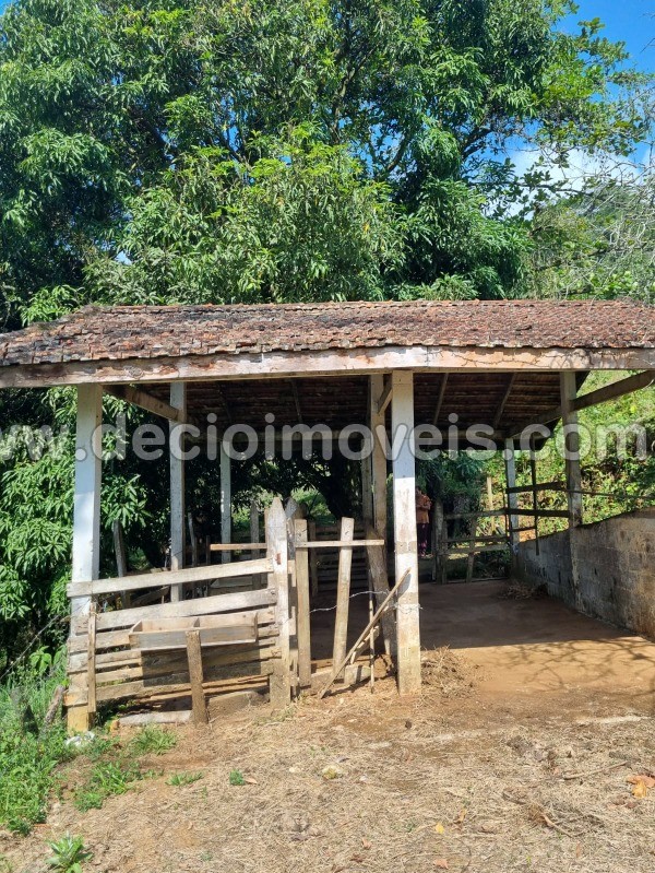 Fazenda à venda com 4 quartos, 40800m² - Foto 51