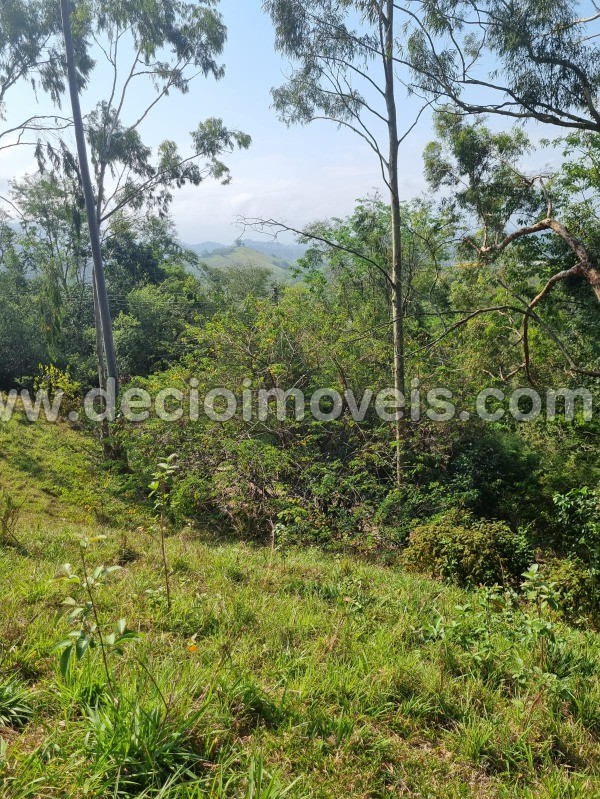 Fazenda à venda com 4 quartos, 40800m² - Foto 61