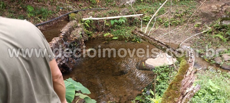 Fazenda à venda com 4 quartos, 40800m² - Foto 33