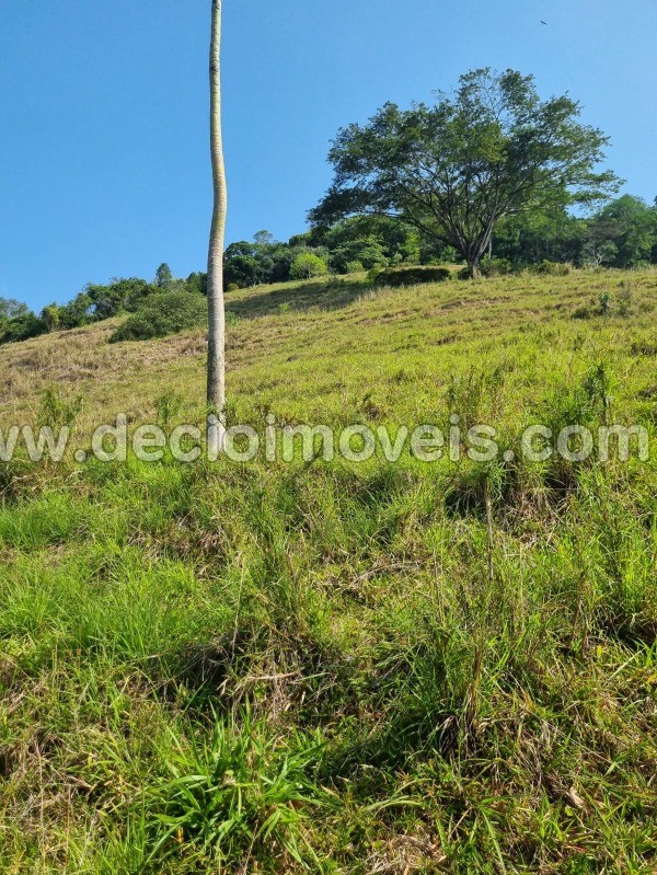 Fazenda à venda com 4 quartos, 40800m² - Foto 53