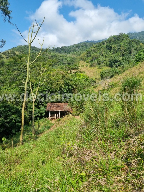 Fazenda à venda com 4 quartos, 40800m² - Foto 59