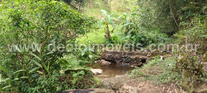 Fazenda à venda com 4 quartos, 40800m² - Foto 34