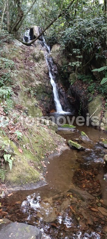 Fazenda à venda com 4 quartos, 40800m² - Foto 32