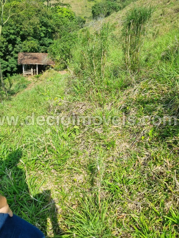 Fazenda à venda com 4 quartos, 40800m² - Foto 55