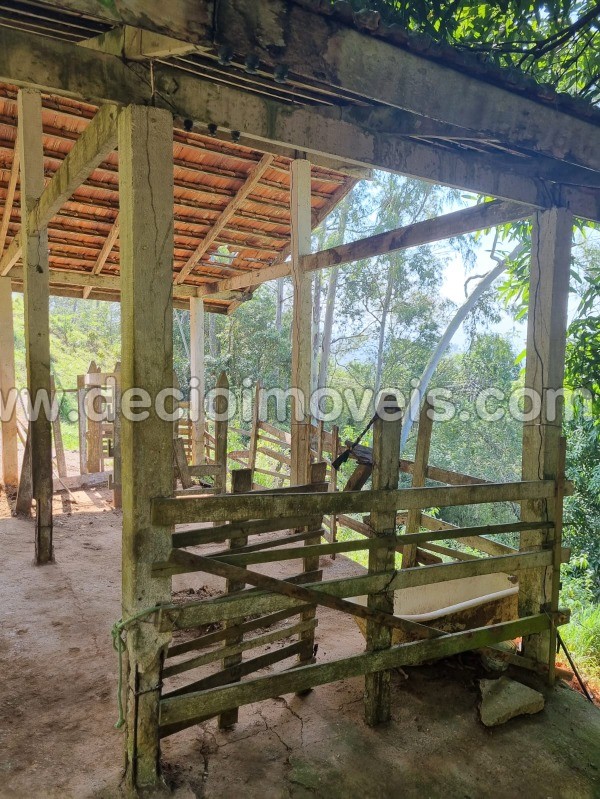 Fazenda à venda com 4 quartos, 40800m² - Foto 46