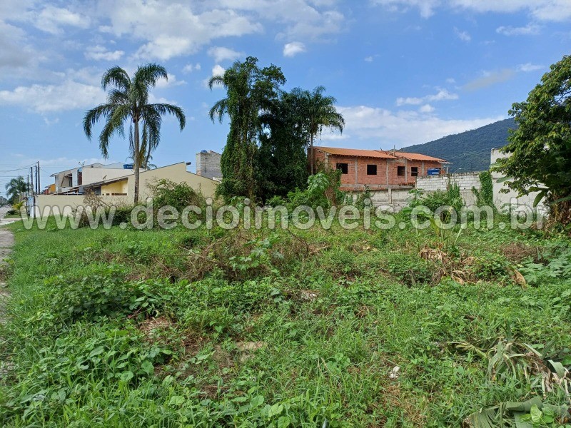 Terreno à venda, 300m² - Foto 2