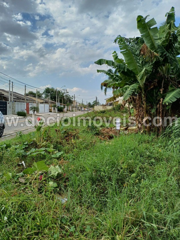 Terreno à venda, 300m² - Foto 6