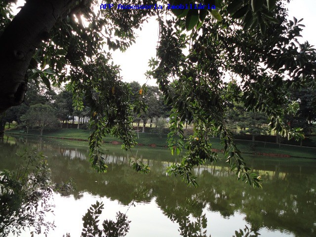 Terreno, 390 m² - Foto 4